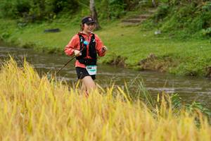 BIB: 
                            <button type="button" onclick="openModal(13493455)" class="btn btn-primary btn-sm float-right btn-popup" data-toggle="modal" data-target=".modal-high-quality">
                        <i class="fas fa-shopping-cart"></i> Add to Cart
                    </button>
                                            <button type="button" onclick="isThisMe(13493455, true)" class="btn btn-success btn-sm float-right btn-popup btn-isme hidden" data-toggle="tooltip" data-placement="bottom" title="นี่คือรูปของคุณใช่ไหม คลิกที่นี่เพื่อเอาเข้าอัลบั้ม">
                        <i class="fas fa-plus"></i> Add to album
                    </button>
                    <button type="button" onclick="isThisMe(13493455, false)" class="btn btn-warning btn-sm float-right btn-popup btn-isnotme hidden">
                        <i class="fas fa-ban"></i> Remove from album
                    </button>