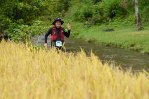 BIB: 1195
                            <button type="button" onclick="openModal(13492593)" class="btn btn-primary btn-sm float-right btn-popup" data-toggle="modal" data-target=".modal-high-quality">
                        <i class="fas fa-shopping-cart"></i> Add to Cart
                    </button>
                                            <button type="button" onclick="isThisMe(13492593, true)" class="btn btn-success btn-sm float-right btn-popup btn-isme hidden" data-toggle="tooltip" data-placement="bottom" title="นี่คือรูปของคุณใช่ไหม คลิกที่นี่เพื่อเอาเข้าอัลบั้ม">
                        <i class="fas fa-plus"></i> Add to album
                    </button>
                    <button type="button" onclick="isThisMe(13492593, false)" class="btn btn-warning btn-sm float-right btn-popup btn-isnotme hidden">
                        <i class="fas fa-ban"></i> Remove from album
                    </button>