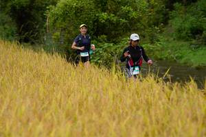 BIB: 
                            <button type="button" onclick="openModal(13492468)" class="btn btn-primary btn-sm float-right btn-popup" data-toggle="modal" data-target=".modal-high-quality">
                        <i class="fas fa-shopping-cart"></i> Add to Cart
                    </button>
                                            <button type="button" onclick="isThisMe(13492468, true)" class="btn btn-success btn-sm float-right btn-popup btn-isme hidden" data-toggle="tooltip" data-placement="bottom" title="นี่คือรูปของคุณใช่ไหม คลิกที่นี่เพื่อเอาเข้าอัลบั้ม">
                        <i class="fas fa-plus"></i> Add to album
                    </button>
                    <button type="button" onclick="isThisMe(13492468, false)" class="btn btn-warning btn-sm float-right btn-popup btn-isnotme hidden">
                        <i class="fas fa-ban"></i> Remove from album
                    </button>