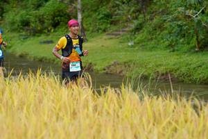 BIB: 1193
                            <button type="button" onclick="openModal(13491185)" class="btn btn-primary btn-sm float-right btn-popup" data-toggle="modal" data-target=".modal-high-quality">
                        <i class="fas fa-shopping-cart"></i> Add to Cart
                    </button>
                                            <button type="button" onclick="isThisMe(13491185, true)" class="btn btn-success btn-sm float-right btn-popup btn-isme hidden" data-toggle="tooltip" data-placement="bottom" title="นี่คือรูปของคุณใช่ไหม คลิกที่นี่เพื่อเอาเข้าอัลบั้ม">
                        <i class="fas fa-plus"></i> Add to album
                    </button>
                    <button type="button" onclick="isThisMe(13491185, false)" class="btn btn-warning btn-sm float-right btn-popup btn-isnotme hidden">
                        <i class="fas fa-ban"></i> Remove from album
                    </button>