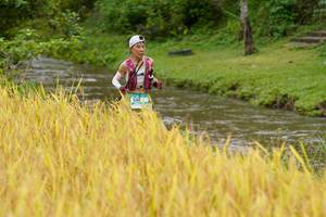 BIB: 152
                            <button type="button" onclick="openModal(13491879)" class="btn btn-primary btn-sm float-right btn-popup" data-toggle="modal" data-target=".modal-high-quality">
                        <i class="fas fa-shopping-cart"></i> Add to Cart
                    </button>
                                            <button type="button" onclick="isThisMe(13491879, true)" class="btn btn-success btn-sm float-right btn-popup btn-isme hidden" data-toggle="tooltip" data-placement="bottom" title="นี่คือรูปของคุณใช่ไหม คลิกที่นี่เพื่อเอาเข้าอัลบั้ม">
                        <i class="fas fa-plus"></i> Add to album
                    </button>
                    <button type="button" onclick="isThisMe(13491879, false)" class="btn btn-warning btn-sm float-right btn-popup btn-isnotme hidden">
                        <i class="fas fa-ban"></i> Remove from album
                    </button>