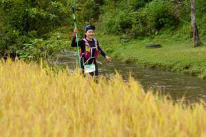 BIB: 1305
                            <button type="button" onclick="openModal(13493339)" class="btn btn-primary btn-sm float-right btn-popup" data-toggle="modal" data-target=".modal-high-quality">
                        <i class="fas fa-shopping-cart"></i> Add to Cart
                    </button>
                                            <button type="button" onclick="isThisMe(13493339, true)" class="btn btn-success btn-sm float-right btn-popup btn-isme hidden" data-toggle="tooltip" data-placement="bottom" title="นี่คือรูปของคุณใช่ไหม คลิกที่นี่เพื่อเอาเข้าอัลบั้ม">
                        <i class="fas fa-plus"></i> Add to album
                    </button>
                    <button type="button" onclick="isThisMe(13493339, false)" class="btn btn-warning btn-sm float-right btn-popup btn-isnotme hidden">
                        <i class="fas fa-ban"></i> Remove from album
                    </button>