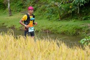 BIB: 1193
                            <button type="button" onclick="openModal(13491193)" class="btn btn-primary btn-sm float-right btn-popup" data-toggle="modal" data-target=".modal-high-quality">
                        <i class="fas fa-shopping-cart"></i> Add to Cart
                    </button>
                                            <button type="button" onclick="isThisMe(13491193, true)" class="btn btn-success btn-sm float-right btn-popup btn-isme hidden" data-toggle="tooltip" data-placement="bottom" title="นี่คือรูปของคุณใช่ไหม คลิกที่นี่เพื่อเอาเข้าอัลบั้ม">
                        <i class="fas fa-plus"></i> Add to album
                    </button>
                    <button type="button" onclick="isThisMe(13491193, false)" class="btn btn-warning btn-sm float-right btn-popup btn-isnotme hidden">
                        <i class="fas fa-ban"></i> Remove from album
                    </button>