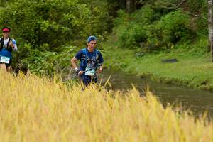 BIB: 
                            <button type="button" onclick="openModal(13492525)" class="btn btn-primary btn-sm float-right btn-popup" data-toggle="modal" data-target=".modal-high-quality">
                        <i class="fas fa-shopping-cart"></i> Add to Cart
                    </button>
                                            <button type="button" onclick="isThisMe(13492525, true)" class="btn btn-success btn-sm float-right btn-popup btn-isme hidden" data-toggle="tooltip" data-placement="bottom" title="นี่คือรูปของคุณใช่ไหม คลิกที่นี่เพื่อเอาเข้าอัลบั้ม">
                        <i class="fas fa-plus"></i> Add to album
                    </button>
                    <button type="button" onclick="isThisMe(13492525, false)" class="btn btn-warning btn-sm float-right btn-popup btn-isnotme hidden">
                        <i class="fas fa-ban"></i> Remove from album
                    </button>