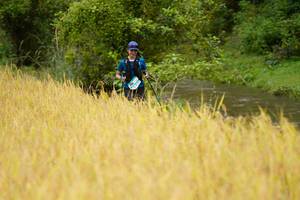 BIB: 
                            <button type="button" onclick="openModal(13492125)" class="btn btn-primary btn-sm float-right btn-popup" data-toggle="modal" data-target=".modal-high-quality">
                        <i class="fas fa-shopping-cart"></i> Add to Cart
                    </button>
                                            <button type="button" onclick="isThisMe(13492125, true)" class="btn btn-success btn-sm float-right btn-popup btn-isme hidden" data-toggle="tooltip" data-placement="bottom" title="นี่คือรูปของคุณใช่ไหม คลิกที่นี่เพื่อเอาเข้าอัลบั้ม">
                        <i class="fas fa-plus"></i> Add to album
                    </button>
                    <button type="button" onclick="isThisMe(13492125, false)" class="btn btn-warning btn-sm float-right btn-popup btn-isnotme hidden">
                        <i class="fas fa-ban"></i> Remove from album
                    </button>