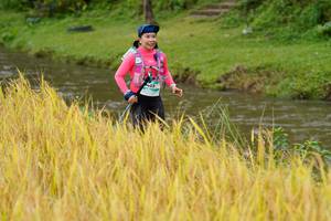 BIB: 
                            <button type="button" onclick="openModal(13493526)" class="btn btn-primary btn-sm float-right btn-popup" data-toggle="modal" data-target=".modal-high-quality">
                        <i class="fas fa-shopping-cart"></i> Add to Cart
                    </button>
                                            <button type="button" onclick="isThisMe(13493526, true)" class="btn btn-success btn-sm float-right btn-popup btn-isme hidden" data-toggle="tooltip" data-placement="bottom" title="นี่คือรูปของคุณใช่ไหม คลิกที่นี่เพื่อเอาเข้าอัลบั้ม">
                        <i class="fas fa-plus"></i> Add to album
                    </button>
                    <button type="button" onclick="isThisMe(13493526, false)" class="btn btn-warning btn-sm float-right btn-popup btn-isnotme hidden">
                        <i class="fas fa-ban"></i> Remove from album
                    </button>