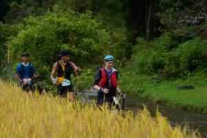 BIB: 
                            <button type="button" onclick="openModal(13491634)" class="btn btn-primary btn-sm float-right btn-popup" data-toggle="modal" data-target=".modal-high-quality">
                        <i class="fas fa-shopping-cart"></i> Add to Cart
                    </button>
                                            <button type="button" onclick="isThisMe(13491634, true)" class="btn btn-success btn-sm float-right btn-popup btn-isme hidden" data-toggle="tooltip" data-placement="bottom" title="นี่คือรูปของคุณใช่ไหม คลิกที่นี่เพื่อเอาเข้าอัลบั้ม">
                        <i class="fas fa-plus"></i> Add to album
                    </button>
                    <button type="button" onclick="isThisMe(13491634, false)" class="btn btn-warning btn-sm float-right btn-popup btn-isnotme hidden">
                        <i class="fas fa-ban"></i> Remove from album
                    </button>