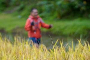 BIB: 
                            <button type="button" onclick="openModal(13491497)" class="btn btn-primary btn-sm float-right btn-popup" data-toggle="modal" data-target=".modal-high-quality">
                        <i class="fas fa-shopping-cart"></i> Add to Cart
                    </button>
                                            <button type="button" onclick="isThisMe(13491497, true)" class="btn btn-success btn-sm float-right btn-popup btn-isme hidden" data-toggle="tooltip" data-placement="bottom" title="นี่คือรูปของคุณใช่ไหม คลิกที่นี่เพื่อเอาเข้าอัลบั้ม">
                        <i class="fas fa-plus"></i> Add to album
                    </button>
                    <button type="button" onclick="isThisMe(13491497, false)" class="btn btn-warning btn-sm float-right btn-popup btn-isnotme hidden">
                        <i class="fas fa-ban"></i> Remove from album
                    </button>