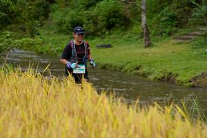 BIB: 
                            <button type="button" onclick="openModal(13493145)" class="btn btn-primary btn-sm float-right btn-popup" data-toggle="modal" data-target=".modal-high-quality">
                        <i class="fas fa-shopping-cart"></i> Add to Cart
                    </button>
                                            <button type="button" onclick="isThisMe(13493145, true)" class="btn btn-success btn-sm float-right btn-popup btn-isme hidden" data-toggle="tooltip" data-placement="bottom" title="นี่คือรูปของคุณใช่ไหม คลิกที่นี่เพื่อเอาเข้าอัลบั้ม">
                        <i class="fas fa-plus"></i> Add to album
                    </button>
                    <button type="button" onclick="isThisMe(13493145, false)" class="btn btn-warning btn-sm float-right btn-popup btn-isnotme hidden">
                        <i class="fas fa-ban"></i> Remove from album
                    </button>