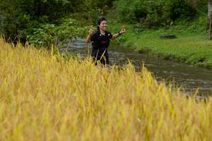 BIB: 
                            <button type="button" onclick="openModal(13493479)" class="btn btn-primary btn-sm float-right btn-popup" data-toggle="modal" data-target=".modal-high-quality">
                        <i class="fas fa-shopping-cart"></i> Add to Cart
                    </button>
                                            <button type="button" onclick="isThisMe(13493479, true)" class="btn btn-success btn-sm float-right btn-popup btn-isme hidden" data-toggle="tooltip" data-placement="bottom" title="นี่คือรูปของคุณใช่ไหม คลิกที่นี่เพื่อเอาเข้าอัลบั้ม">
                        <i class="fas fa-plus"></i> Add to album
                    </button>
                    <button type="button" onclick="isThisMe(13493479, false)" class="btn btn-warning btn-sm float-right btn-popup btn-isnotme hidden">
                        <i class="fas fa-ban"></i> Remove from album
                    </button>