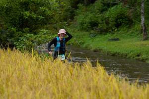 BIB: 
                            <button type="button" onclick="openModal(13492699)" class="btn btn-primary btn-sm float-right btn-popup" data-toggle="modal" data-target=".modal-high-quality">
                        <i class="fas fa-shopping-cart"></i> Add to Cart
                    </button>
                                            <button type="button" onclick="isThisMe(13492699, true)" class="btn btn-success btn-sm float-right btn-popup btn-isme hidden" data-toggle="tooltip" data-placement="bottom" title="นี่คือรูปของคุณใช่ไหม คลิกที่นี่เพื่อเอาเข้าอัลบั้ม">
                        <i class="fas fa-plus"></i> Add to album
                    </button>
                    <button type="button" onclick="isThisMe(13492699, false)" class="btn btn-warning btn-sm float-right btn-popup btn-isnotme hidden">
                        <i class="fas fa-ban"></i> Remove from album
                    </button>