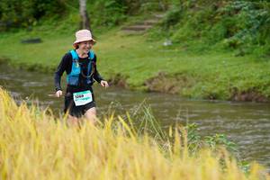 BIB: 1269, 
                            <button type="button" onclick="openModal(13492709)" class="btn btn-primary btn-sm float-right btn-popup" data-toggle="modal" data-target=".modal-high-quality">
                        <i class="fas fa-shopping-cart"></i> Add to Cart
                    </button>
                                            <button type="button" onclick="isThisMe(13492709, true)" class="btn btn-success btn-sm float-right btn-popup btn-isme hidden" data-toggle="tooltip" data-placement="bottom" title="นี่คือรูปของคุณใช่ไหม คลิกที่นี่เพื่อเอาเข้าอัลบั้ม">
                        <i class="fas fa-plus"></i> Add to album
                    </button>
                    <button type="button" onclick="isThisMe(13492709, false)" class="btn btn-warning btn-sm float-right btn-popup btn-isnotme hidden">
                        <i class="fas fa-ban"></i> Remove from album
                    </button>