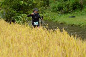 BIB: 
                            <button type="button" onclick="openModal(13493541)" class="btn btn-primary btn-sm float-right btn-popup" data-toggle="modal" data-target=".modal-high-quality">
                        <i class="fas fa-shopping-cart"></i> Add to Cart
                    </button>
                                            <button type="button" onclick="isThisMe(13493541, true)" class="btn btn-success btn-sm float-right btn-popup btn-isme hidden" data-toggle="tooltip" data-placement="bottom" title="นี่คือรูปของคุณใช่ไหม คลิกที่นี่เพื่อเอาเข้าอัลบั้ม">
                        <i class="fas fa-plus"></i> Add to album
                    </button>
                    <button type="button" onclick="isThisMe(13493541, false)" class="btn btn-warning btn-sm float-right btn-popup btn-isnotme hidden">
                        <i class="fas fa-ban"></i> Remove from album
                    </button>