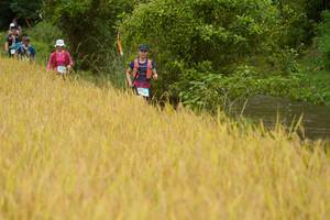 BIB: 
                            <button type="button" onclick="openModal(13492214)" class="btn btn-primary btn-sm float-right btn-popup" data-toggle="modal" data-target=".modal-high-quality">
                        <i class="fas fa-shopping-cart"></i> Add to Cart
                    </button>
                                            <button type="button" onclick="isThisMe(13492214, true)" class="btn btn-success btn-sm float-right btn-popup btn-isme hidden" data-toggle="tooltip" data-placement="bottom" title="นี่คือรูปของคุณใช่ไหม คลิกที่นี่เพื่อเอาเข้าอัลบั้ม">
                        <i class="fas fa-plus"></i> Add to album
                    </button>
                    <button type="button" onclick="isThisMe(13492214, false)" class="btn btn-warning btn-sm float-right btn-popup btn-isnotme hidden">
                        <i class="fas fa-ban"></i> Remove from album
                    </button>