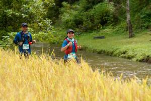 BIB: 1637
                            <button type="button" onclick="openModal(13492014)" class="btn btn-primary btn-sm float-right btn-popup" data-toggle="modal" data-target=".modal-high-quality">
                        <i class="fas fa-shopping-cart"></i> Add to Cart
                    </button>
                                            <button type="button" onclick="isThisMe(13492014, true)" class="btn btn-success btn-sm float-right btn-popup btn-isme hidden" data-toggle="tooltip" data-placement="bottom" title="นี่คือรูปของคุณใช่ไหม คลิกที่นี่เพื่อเอาเข้าอัลบั้ม">
                        <i class="fas fa-plus"></i> Add to album
                    </button>
                    <button type="button" onclick="isThisMe(13492014, false)" class="btn btn-warning btn-sm float-right btn-popup btn-isnotme hidden">
                        <i class="fas fa-ban"></i> Remove from album
                    </button>