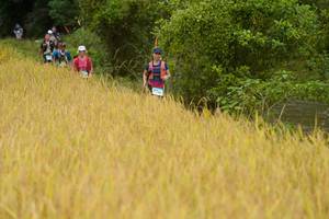 BIB: 
                            <button type="button" onclick="openModal(13492209)" class="btn btn-primary btn-sm float-right btn-popup" data-toggle="modal" data-target=".modal-high-quality">
                        <i class="fas fa-shopping-cart"></i> Add to Cart
                    </button>
                                            <button type="button" onclick="isThisMe(13492209, true)" class="btn btn-success btn-sm float-right btn-popup btn-isme hidden" data-toggle="tooltip" data-placement="bottom" title="นี่คือรูปของคุณใช่ไหม คลิกที่นี่เพื่อเอาเข้าอัลบั้ม">
                        <i class="fas fa-plus"></i> Add to album
                    </button>
                    <button type="button" onclick="isThisMe(13492209, false)" class="btn btn-warning btn-sm float-right btn-popup btn-isnotme hidden">
                        <i class="fas fa-ban"></i> Remove from album
                    </button>