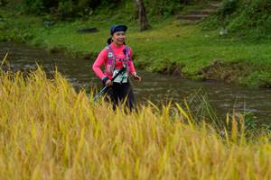 BIB: 
                            <button type="button" onclick="openModal(13493523)" class="btn btn-primary btn-sm float-right btn-popup" data-toggle="modal" data-target=".modal-high-quality">
                        <i class="fas fa-shopping-cart"></i> Add to Cart
                    </button>
                                            <button type="button" onclick="isThisMe(13493523, true)" class="btn btn-success btn-sm float-right btn-popup btn-isme hidden" data-toggle="tooltip" data-placement="bottom" title="นี่คือรูปของคุณใช่ไหม คลิกที่นี่เพื่อเอาเข้าอัลบั้ม">
                        <i class="fas fa-plus"></i> Add to album
                    </button>
                    <button type="button" onclick="isThisMe(13493523, false)" class="btn btn-warning btn-sm float-right btn-popup btn-isnotme hidden">
                        <i class="fas fa-ban"></i> Remove from album
                    </button>