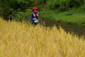 BIB: 
                            <button type="button" onclick="openModal(13492511)" class="btn btn-primary btn-sm float-right btn-popup" data-toggle="modal" data-target=".modal-high-quality">
                        <i class="fas fa-shopping-cart"></i> Add to Cart
                    </button>
                                            <button type="button" onclick="isThisMe(13492511, true)" class="btn btn-success btn-sm float-right btn-popup btn-isme hidden" data-toggle="tooltip" data-placement="bottom" title="นี่คือรูปของคุณใช่ไหม คลิกที่นี่เพื่อเอาเข้าอัลบั้ม">
                        <i class="fas fa-plus"></i> Add to album
                    </button>
                    <button type="button" onclick="isThisMe(13492511, false)" class="btn btn-warning btn-sm float-right btn-popup btn-isnotme hidden">
                        <i class="fas fa-ban"></i> Remove from album
                    </button>