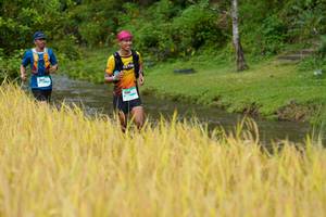 BIB: 
                            <button type="button" onclick="openModal(13491176)" class="btn btn-primary btn-sm float-right btn-popup" data-toggle="modal" data-target=".modal-high-quality">
                        <i class="fas fa-shopping-cart"></i> Add to Cart
                    </button>
                                            <button type="button" onclick="isThisMe(13491176, true)" class="btn btn-success btn-sm float-right btn-popup btn-isme hidden" data-toggle="tooltip" data-placement="bottom" title="นี่คือรูปของคุณใช่ไหม คลิกที่นี่เพื่อเอาเข้าอัลบั้ม">
                        <i class="fas fa-plus"></i> Add to album
                    </button>
                    <button type="button" onclick="isThisMe(13491176, false)" class="btn btn-warning btn-sm float-right btn-popup btn-isnotme hidden">
                        <i class="fas fa-ban"></i> Remove from album
                    </button>