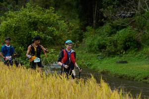 BIB: 
                            <button type="button" onclick="openModal(13491635)" class="btn btn-primary btn-sm float-right btn-popup" data-toggle="modal" data-target=".modal-high-quality">
                        <i class="fas fa-shopping-cart"></i> Add to Cart
                    </button>
                                            <button type="button" onclick="isThisMe(13491635, true)" class="btn btn-success btn-sm float-right btn-popup btn-isme hidden" data-toggle="tooltip" data-placement="bottom" title="นี่คือรูปของคุณใช่ไหม คลิกที่นี่เพื่อเอาเข้าอัลบั้ม">
                        <i class="fas fa-plus"></i> Add to album
                    </button>
                    <button type="button" onclick="isThisMe(13491635, false)" class="btn btn-warning btn-sm float-right btn-popup btn-isnotme hidden">
                        <i class="fas fa-ban"></i> Remove from album
                    </button>