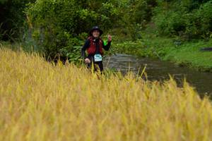 BIB: 
                            <button type="button" onclick="openModal(13492587)" class="btn btn-primary btn-sm float-right btn-popup" data-toggle="modal" data-target=".modal-high-quality">
                        <i class="fas fa-shopping-cart"></i> Add to Cart
                    </button>
                                            <button type="button" onclick="isThisMe(13492587, true)" class="btn btn-success btn-sm float-right btn-popup btn-isme hidden" data-toggle="tooltip" data-placement="bottom" title="นี่คือรูปของคุณใช่ไหม คลิกที่นี่เพื่อเอาเข้าอัลบั้ม">
                        <i class="fas fa-plus"></i> Add to album
                    </button>
                    <button type="button" onclick="isThisMe(13492587, false)" class="btn btn-warning btn-sm float-right btn-popup btn-isnotme hidden">
                        <i class="fas fa-ban"></i> Remove from album
                    </button>