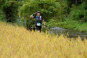 BIB: 
                            <button type="button" onclick="openModal(13492826)" class="btn btn-primary btn-sm float-right btn-popup" data-toggle="modal" data-target=".modal-high-quality">
                        <i class="fas fa-shopping-cart"></i> Add to Cart
                    </button>
                                            <button type="button" onclick="isThisMe(13492826, true)" class="btn btn-success btn-sm float-right btn-popup btn-isme hidden" data-toggle="tooltip" data-placement="bottom" title="นี่คือรูปของคุณใช่ไหม คลิกที่นี่เพื่อเอาเข้าอัลบั้ม">
                        <i class="fas fa-plus"></i> Add to album
                    </button>
                    <button type="button" onclick="isThisMe(13492826, false)" class="btn btn-warning btn-sm float-right btn-popup btn-isnotme hidden">
                        <i class="fas fa-ban"></i> Remove from album
                    </button>