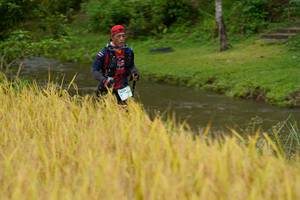 BIB: 
                            <button type="button" onclick="openModal(13492336)" class="btn btn-primary btn-sm float-right btn-popup" data-toggle="modal" data-target=".modal-high-quality">
                        <i class="fas fa-shopping-cart"></i> Add to Cart
                    </button>
                                            <button type="button" onclick="isThisMe(13492336, true)" class="btn btn-success btn-sm float-right btn-popup btn-isme hidden" data-toggle="tooltip" data-placement="bottom" title="นี่คือรูปของคุณใช่ไหม คลิกที่นี่เพื่อเอาเข้าอัลบั้ม">
                        <i class="fas fa-plus"></i> Add to album
                    </button>
                    <button type="button" onclick="isThisMe(13492336, false)" class="btn btn-warning btn-sm float-right btn-popup btn-isnotme hidden">
                        <i class="fas fa-ban"></i> Remove from album
                    </button>