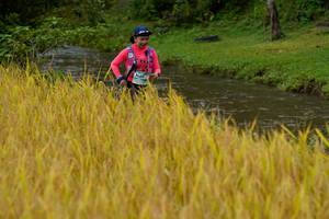 BIB: 
                            <button type="button" onclick="openModal(13493518)" class="btn btn-primary btn-sm float-right btn-popup" data-toggle="modal" data-target=".modal-high-quality">
                        <i class="fas fa-shopping-cart"></i> Add to Cart
                    </button>
                                            <button type="button" onclick="isThisMe(13493518, true)" class="btn btn-success btn-sm float-right btn-popup btn-isme hidden" data-toggle="tooltip" data-placement="bottom" title="นี่คือรูปของคุณใช่ไหม คลิกที่นี่เพื่อเอาเข้าอัลบั้ม">
                        <i class="fas fa-plus"></i> Add to album
                    </button>
                    <button type="button" onclick="isThisMe(13493518, false)" class="btn btn-warning btn-sm float-right btn-popup btn-isnotme hidden">
                        <i class="fas fa-ban"></i> Remove from album
                    </button>