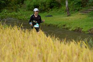 BIB: 
                            <button type="button" onclick="openModal(13492377)" class="btn btn-primary btn-sm float-right btn-popup" data-toggle="modal" data-target=".modal-high-quality">
                        <i class="fas fa-shopping-cart"></i> Add to Cart
                    </button>
                                            <button type="button" onclick="isThisMe(13492377, true)" class="btn btn-success btn-sm float-right btn-popup btn-isme hidden" data-toggle="tooltip" data-placement="bottom" title="นี่คือรูปของคุณใช่ไหม คลิกที่นี่เพื่อเอาเข้าอัลบั้ม">
                        <i class="fas fa-plus"></i> Add to album
                    </button>
                    <button type="button" onclick="isThisMe(13492377, false)" class="btn btn-warning btn-sm float-right btn-popup btn-isnotme hidden">
                        <i class="fas fa-ban"></i> Remove from album
                    </button>