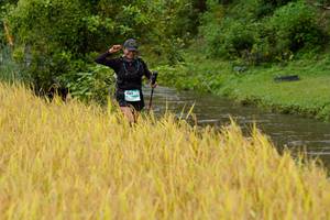 BIB: 
                            <button type="button" onclick="openModal(13493545)" class="btn btn-primary btn-sm float-right btn-popup" data-toggle="modal" data-target=".modal-high-quality">
                        <i class="fas fa-shopping-cart"></i> Add to Cart
                    </button>
                                            <button type="button" onclick="isThisMe(13493545, true)" class="btn btn-success btn-sm float-right btn-popup btn-isme hidden" data-toggle="tooltip" data-placement="bottom" title="นี่คือรูปของคุณใช่ไหม คลิกที่นี่เพื่อเอาเข้าอัลบั้ม">
                        <i class="fas fa-plus"></i> Add to album
                    </button>
                    <button type="button" onclick="isThisMe(13493545, false)" class="btn btn-warning btn-sm float-right btn-popup btn-isnotme hidden">
                        <i class="fas fa-ban"></i> Remove from album
                    </button>