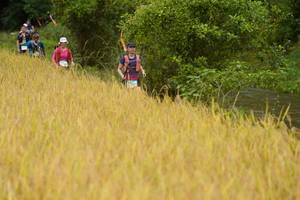 BIB: 
                            <button type="button" onclick="openModal(13492215)" class="btn btn-primary btn-sm float-right btn-popup" data-toggle="modal" data-target=".modal-high-quality">
                        <i class="fas fa-shopping-cart"></i> Add to Cart
                    </button>
                                            <button type="button" onclick="isThisMe(13492215, true)" class="btn btn-success btn-sm float-right btn-popup btn-isme hidden" data-toggle="tooltip" data-placement="bottom" title="นี่คือรูปของคุณใช่ไหม คลิกที่นี่เพื่อเอาเข้าอัลบั้ม">
                        <i class="fas fa-plus"></i> Add to album
                    </button>
                    <button type="button" onclick="isThisMe(13492215, false)" class="btn btn-warning btn-sm float-right btn-popup btn-isnotme hidden">
                        <i class="fas fa-ban"></i> Remove from album
                    </button>