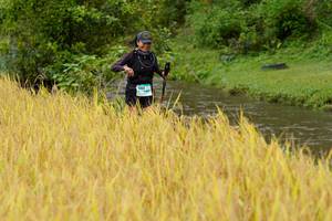 BIB: 
                            <button type="button" onclick="openModal(13493544)" class="btn btn-primary btn-sm float-right btn-popup" data-toggle="modal" data-target=".modal-high-quality">
                        <i class="fas fa-shopping-cart"></i> Add to Cart
                    </button>
                                            <button type="button" onclick="isThisMe(13493544, true)" class="btn btn-success btn-sm float-right btn-popup btn-isme hidden" data-toggle="tooltip" data-placement="bottom" title="นี่คือรูปของคุณใช่ไหม คลิกที่นี่เพื่อเอาเข้าอัลบั้ม">
                        <i class="fas fa-plus"></i> Add to album
                    </button>
                    <button type="button" onclick="isThisMe(13493544, false)" class="btn btn-warning btn-sm float-right btn-popup btn-isnotme hidden">
                        <i class="fas fa-ban"></i> Remove from album
                    </button>