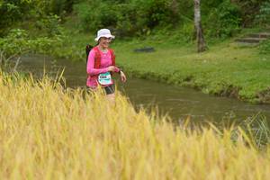 BIB: 1366
                            <button type="button" onclick="openModal(13492240)" class="btn btn-primary btn-sm float-right btn-popup" data-toggle="modal" data-target=".modal-high-quality">
                        <i class="fas fa-shopping-cart"></i> Add to Cart
                    </button>
                                            <button type="button" onclick="isThisMe(13492240, true)" class="btn btn-success btn-sm float-right btn-popup btn-isme hidden" data-toggle="tooltip" data-placement="bottom" title="นี่คือรูปของคุณใช่ไหม คลิกที่นี่เพื่อเอาเข้าอัลบั้ม">
                        <i class="fas fa-plus"></i> Add to album
                    </button>
                    <button type="button" onclick="isThisMe(13492240, false)" class="btn btn-warning btn-sm float-right btn-popup btn-isnotme hidden">
                        <i class="fas fa-ban"></i> Remove from album
                    </button>