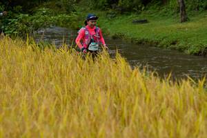 BIB: 
                            <button type="button" onclick="openModal(13493516)" class="btn btn-primary btn-sm float-right btn-popup" data-toggle="modal" data-target=".modal-high-quality">
                        <i class="fas fa-shopping-cart"></i> Add to Cart
                    </button>
                                            <button type="button" onclick="isThisMe(13493516, true)" class="btn btn-success btn-sm float-right btn-popup btn-isme hidden" data-toggle="tooltip" data-placement="bottom" title="นี่คือรูปของคุณใช่ไหม คลิกที่นี่เพื่อเอาเข้าอัลบั้ม">
                        <i class="fas fa-plus"></i> Add to album
                    </button>
                    <button type="button" onclick="isThisMe(13493516, false)" class="btn btn-warning btn-sm float-right btn-popup btn-isnotme hidden">
                        <i class="fas fa-ban"></i> Remove from album
                    </button>