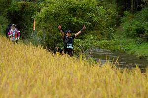 BIB: 
                            <button type="button" onclick="openModal(13492950)" class="btn btn-primary btn-sm float-right btn-popup" data-toggle="modal" data-target=".modal-high-quality">
                        <i class="fas fa-shopping-cart"></i> Add to Cart
                    </button>
                                            <button type="button" onclick="isThisMe(13492950, true)" class="btn btn-success btn-sm float-right btn-popup btn-isme hidden" data-toggle="tooltip" data-placement="bottom" title="นี่คือรูปของคุณใช่ไหม คลิกที่นี่เพื่อเอาเข้าอัลบั้ม">
                        <i class="fas fa-plus"></i> Add to album
                    </button>
                    <button type="button" onclick="isThisMe(13492950, false)" class="btn btn-warning btn-sm float-right btn-popup btn-isnotme hidden">
                        <i class="fas fa-ban"></i> Remove from album
                    </button>