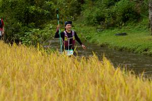 BIB: 
                            <button type="button" onclick="openModal(13493338)" class="btn btn-primary btn-sm float-right btn-popup" data-toggle="modal" data-target=".modal-high-quality">
                        <i class="fas fa-shopping-cart"></i> Add to Cart
                    </button>
                                            <button type="button" onclick="isThisMe(13493338, true)" class="btn btn-success btn-sm float-right btn-popup btn-isme hidden" data-toggle="tooltip" data-placement="bottom" title="นี่คือรูปของคุณใช่ไหม คลิกที่นี่เพื่อเอาเข้าอัลบั้ม">
                        <i class="fas fa-plus"></i> Add to album
                    </button>
                    <button type="button" onclick="isThisMe(13493338, false)" class="btn btn-warning btn-sm float-right btn-popup btn-isnotme hidden">
                        <i class="fas fa-ban"></i> Remove from album
                    </button>