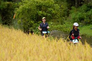 BIB: 
                            <button type="button" onclick="openModal(13492462)" class="btn btn-primary btn-sm float-right btn-popup" data-toggle="modal" data-target=".modal-high-quality">
                        <i class="fas fa-shopping-cart"></i> Add to Cart
                    </button>
                                            <button type="button" onclick="isThisMe(13492462, true)" class="btn btn-success btn-sm float-right btn-popup btn-isme hidden" data-toggle="tooltip" data-placement="bottom" title="นี่คือรูปของคุณใช่ไหม คลิกที่นี่เพื่อเอาเข้าอัลบั้ม">
                        <i class="fas fa-plus"></i> Add to album
                    </button>
                    <button type="button" onclick="isThisMe(13492462, false)" class="btn btn-warning btn-sm float-right btn-popup btn-isnotme hidden">
                        <i class="fas fa-ban"></i> Remove from album
                    </button>