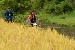 BIB: 
                            <button type="button" onclick="openModal(13493447)" class="btn btn-primary btn-sm float-right btn-popup" data-toggle="modal" data-target=".modal-high-quality">
                        <i class="fas fa-shopping-cart"></i> Add to Cart
                    </button>
                                            <button type="button" onclick="isThisMe(13493447, true)" class="btn btn-success btn-sm float-right btn-popup btn-isme hidden" data-toggle="tooltip" data-placement="bottom" title="นี่คือรูปของคุณใช่ไหม คลิกที่นี่เพื่อเอาเข้าอัลบั้ม">
                        <i class="fas fa-plus"></i> Add to album
                    </button>
                    <button type="button" onclick="isThisMe(13493447, false)" class="btn btn-warning btn-sm float-right btn-popup btn-isnotme hidden">
                        <i class="fas fa-ban"></i> Remove from album
                    </button>