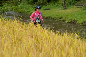 BIB: 
                            <button type="button" onclick="openModal(13493520)" class="btn btn-primary btn-sm float-right btn-popup" data-toggle="modal" data-target=".modal-high-quality">
                        <i class="fas fa-shopping-cart"></i> Add to Cart
                    </button>
                                            <button type="button" onclick="isThisMe(13493520, true)" class="btn btn-success btn-sm float-right btn-popup btn-isme hidden" data-toggle="tooltip" data-placement="bottom" title="นี่คือรูปของคุณใช่ไหม คลิกที่นี่เพื่อเอาเข้าอัลบั้ม">
                        <i class="fas fa-plus"></i> Add to album
                    </button>
                    <button type="button" onclick="isThisMe(13493520, false)" class="btn btn-warning btn-sm float-right btn-popup btn-isnotme hidden">
                        <i class="fas fa-ban"></i> Remove from album
                    </button>