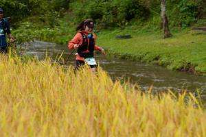 BIB: 
                            <button type="button" onclick="openModal(13493449)" class="btn btn-primary btn-sm float-right btn-popup" data-toggle="modal" data-target=".modal-high-quality">
                        <i class="fas fa-shopping-cart"></i> Add to Cart
                    </button>
                                            <button type="button" onclick="isThisMe(13493449, true)" class="btn btn-success btn-sm float-right btn-popup btn-isme hidden" data-toggle="tooltip" data-placement="bottom" title="นี่คือรูปของคุณใช่ไหม คลิกที่นี่เพื่อเอาเข้าอัลบั้ม">
                        <i class="fas fa-plus"></i> Add to album
                    </button>
                    <button type="button" onclick="isThisMe(13493449, false)" class="btn btn-warning btn-sm float-right btn-popup btn-isnotme hidden">
                        <i class="fas fa-ban"></i> Remove from album
                    </button>