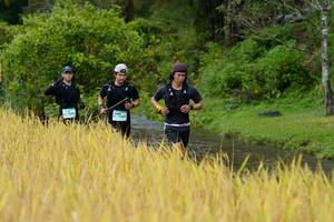 BIB: 
                            <button type="button" onclick="openModal(13491268)" class="btn btn-primary btn-sm float-right btn-popup" data-toggle="modal" data-target=".modal-high-quality">
                        <i class="fas fa-shopping-cart"></i> Add to Cart
                    </button>
                                            <button type="button" onclick="isThisMe(13491268, true)" class="btn btn-success btn-sm float-right btn-popup btn-isme hidden" data-toggle="tooltip" data-placement="bottom" title="นี่คือรูปของคุณใช่ไหม คลิกที่นี่เพื่อเอาเข้าอัลบั้ม">
                        <i class="fas fa-plus"></i> Add to album
                    </button>
                    <button type="button" onclick="isThisMe(13491268, false)" class="btn btn-warning btn-sm float-right btn-popup btn-isnotme hidden">
                        <i class="fas fa-ban"></i> Remove from album
                    </button>