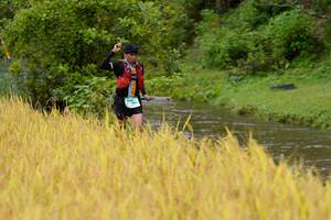 BIB: 
                            <button type="button" onclick="openModal(13493120)" class="btn btn-primary btn-sm float-right btn-popup" data-toggle="modal" data-target=".modal-high-quality">
                        <i class="fas fa-shopping-cart"></i> Add to Cart
                    </button>
                                            <button type="button" onclick="isThisMe(13493120, true)" class="btn btn-success btn-sm float-right btn-popup btn-isme hidden" data-toggle="tooltip" data-placement="bottom" title="นี่คือรูปของคุณใช่ไหม คลิกที่นี่เพื่อเอาเข้าอัลบั้ม">
                        <i class="fas fa-plus"></i> Add to album
                    </button>
                    <button type="button" onclick="isThisMe(13493120, false)" class="btn btn-warning btn-sm float-right btn-popup btn-isnotme hidden">
                        <i class="fas fa-ban"></i> Remove from album
                    </button>