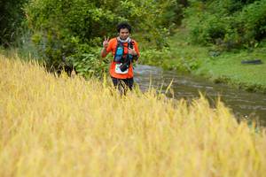 BIB: 
                            <button type="button" onclick="openModal(13493669)" class="btn btn-primary btn-sm float-right btn-popup" data-toggle="modal" data-target=".modal-high-quality">
                        <i class="fas fa-shopping-cart"></i> Add to Cart
                    </button>
                                            <button type="button" onclick="isThisMe(13493669, true)" class="btn btn-success btn-sm float-right btn-popup btn-isme hidden" data-toggle="tooltip" data-placement="bottom" title="นี่คือรูปของคุณใช่ไหม คลิกที่นี่เพื่อเอาเข้าอัลบั้ม">
                        <i class="fas fa-plus"></i> Add to album
                    </button>
                    <button type="button" onclick="isThisMe(13493669, false)" class="btn btn-warning btn-sm float-right btn-popup btn-isnotme hidden">
                        <i class="fas fa-ban"></i> Remove from album
                    </button>