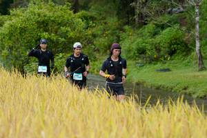 BIB: 
                            <button type="button" onclick="openModal(13491270)" class="btn btn-primary btn-sm float-right btn-popup" data-toggle="modal" data-target=".modal-high-quality">
                        <i class="fas fa-shopping-cart"></i> Add to Cart
                    </button>
                                            <button type="button" onclick="isThisMe(13491270, true)" class="btn btn-success btn-sm float-right btn-popup btn-isme hidden" data-toggle="tooltip" data-placement="bottom" title="นี่คือรูปของคุณใช่ไหม คลิกที่นี่เพื่อเอาเข้าอัลบั้ม">
                        <i class="fas fa-plus"></i> Add to album
                    </button>
                    <button type="button" onclick="isThisMe(13491270, false)" class="btn btn-warning btn-sm float-right btn-popup btn-isnotme hidden">
                        <i class="fas fa-ban"></i> Remove from album
                    </button>