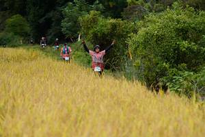 BIB: 
                            <button type="button" onclick="openModal(13492442)" class="btn btn-primary btn-sm float-right btn-popup" data-toggle="modal" data-target=".modal-high-quality">
                        <i class="fas fa-shopping-cart"></i> Add to Cart
                    </button>
                                            <button type="button" onclick="isThisMe(13492442, true)" class="btn btn-success btn-sm float-right btn-popup btn-isme hidden" data-toggle="tooltip" data-placement="bottom" title="นี่คือรูปของคุณใช่ไหม คลิกที่นี่เพื่อเอาเข้าอัลบั้ม">
                        <i class="fas fa-plus"></i> Add to album
                    </button>
                    <button type="button" onclick="isThisMe(13492442, false)" class="btn btn-warning btn-sm float-right btn-popup btn-isnotme hidden">
                        <i class="fas fa-ban"></i> Remove from album
                    </button>