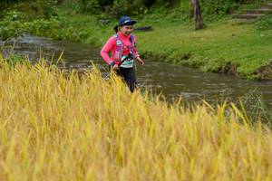 BIB: 
                            <button type="button" onclick="openModal(13493521)" class="btn btn-primary btn-sm float-right btn-popup" data-toggle="modal" data-target=".modal-high-quality">
                        <i class="fas fa-shopping-cart"></i> Add to Cart
                    </button>
                                            <button type="button" onclick="isThisMe(13493521, true)" class="btn btn-success btn-sm float-right btn-popup btn-isme hidden" data-toggle="tooltip" data-placement="bottom" title="นี่คือรูปของคุณใช่ไหม คลิกที่นี่เพื่อเอาเข้าอัลบั้ม">
                        <i class="fas fa-plus"></i> Add to album
                    </button>
                    <button type="button" onclick="isThisMe(13493521, false)" class="btn btn-warning btn-sm float-right btn-popup btn-isnotme hidden">
                        <i class="fas fa-ban"></i> Remove from album
                    </button>