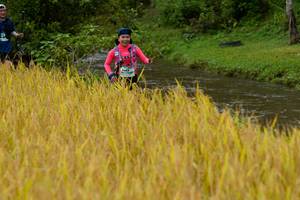 BIB: 
                            <button type="button" onclick="openModal(13493512)" class="btn btn-primary btn-sm float-right btn-popup" data-toggle="modal" data-target=".modal-high-quality">
                        <i class="fas fa-shopping-cart"></i> Add to Cart
                    </button>
                                            <button type="button" onclick="isThisMe(13493512, true)" class="btn btn-success btn-sm float-right btn-popup btn-isme hidden" data-toggle="tooltip" data-placement="bottom" title="นี่คือรูปของคุณใช่ไหม คลิกที่นี่เพื่อเอาเข้าอัลบั้ม">
                        <i class="fas fa-plus"></i> Add to album
                    </button>
                    <button type="button" onclick="isThisMe(13493512, false)" class="btn btn-warning btn-sm float-right btn-popup btn-isnotme hidden">
                        <i class="fas fa-ban"></i> Remove from album
                    </button>