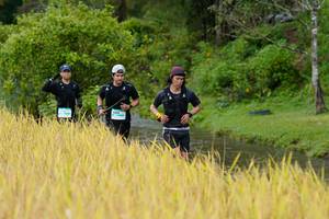 BIB: 
                            <button type="button" onclick="openModal(13491269)" class="btn btn-primary btn-sm float-right btn-popup" data-toggle="modal" data-target=".modal-high-quality">
                        <i class="fas fa-shopping-cart"></i> Add to Cart
                    </button>
                                            <button type="button" onclick="isThisMe(13491269, true)" class="btn btn-success btn-sm float-right btn-popup btn-isme hidden" data-toggle="tooltip" data-placement="bottom" title="นี่คือรูปของคุณใช่ไหม คลิกที่นี่เพื่อเอาเข้าอัลบั้ม">
                        <i class="fas fa-plus"></i> Add to album
                    </button>
                    <button type="button" onclick="isThisMe(13491269, false)" class="btn btn-warning btn-sm float-right btn-popup btn-isnotme hidden">
                        <i class="fas fa-ban"></i> Remove from album
                    </button>