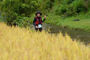 BIB: 
                            <button type="button" onclick="openModal(13492591)" class="btn btn-primary btn-sm float-right btn-popup" data-toggle="modal" data-target=".modal-high-quality">
                        <i class="fas fa-shopping-cart"></i> Add to Cart
                    </button>
                                            <button type="button" onclick="isThisMe(13492591, true)" class="btn btn-success btn-sm float-right btn-popup btn-isme hidden" data-toggle="tooltip" data-placement="bottom" title="นี่คือรูปของคุณใช่ไหม คลิกที่นี่เพื่อเอาเข้าอัลบั้ม">
                        <i class="fas fa-plus"></i> Add to album
                    </button>
                    <button type="button" onclick="isThisMe(13492591, false)" class="btn btn-warning btn-sm float-right btn-popup btn-isnotme hidden">
                        <i class="fas fa-ban"></i> Remove from album
                    </button>