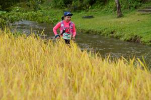 BIB: 1603
                            <button type="button" onclick="openModal(13493519)" class="btn btn-primary btn-sm float-right btn-popup" data-toggle="modal" data-target=".modal-high-quality">
                        <i class="fas fa-shopping-cart"></i> Add to Cart
                    </button>
                                            <button type="button" onclick="isThisMe(13493519, true)" class="btn btn-success btn-sm float-right btn-popup btn-isme hidden" data-toggle="tooltip" data-placement="bottom" title="นี่คือรูปของคุณใช่ไหม คลิกที่นี่เพื่อเอาเข้าอัลบั้ม">
                        <i class="fas fa-plus"></i> Add to album
                    </button>
                    <button type="button" onclick="isThisMe(13493519, false)" class="btn btn-warning btn-sm float-right btn-popup btn-isnotme hidden">
                        <i class="fas fa-ban"></i> Remove from album
                    </button>